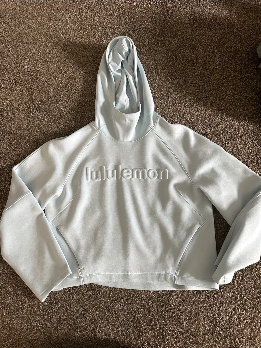 lululemon athletica Pale Blue Embossed Logo Hoodie Sweater